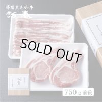 熟成肉ギフト　国産無菌豚　熟成豚肉セット　箱付　750ｇ前後　　 